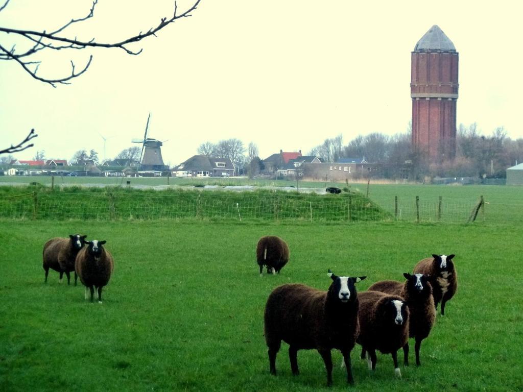Bed En Breakfast De Pauw Wieringerwaard Quarto foto