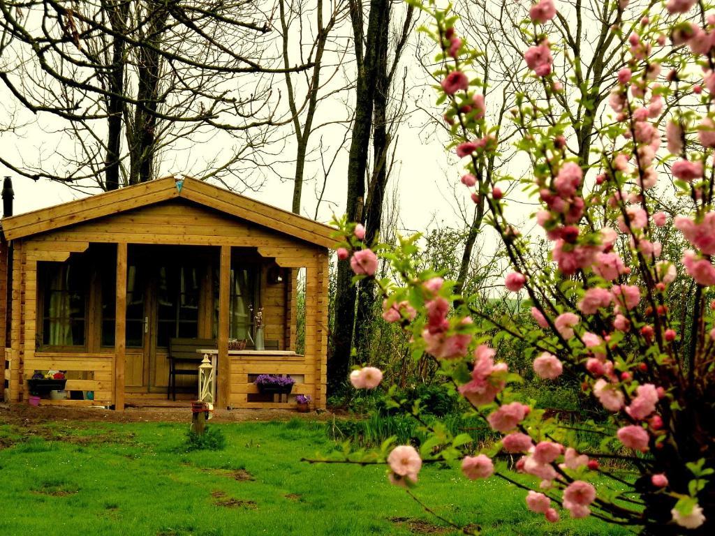 Bed En Breakfast De Pauw Wieringerwaard Quarto foto